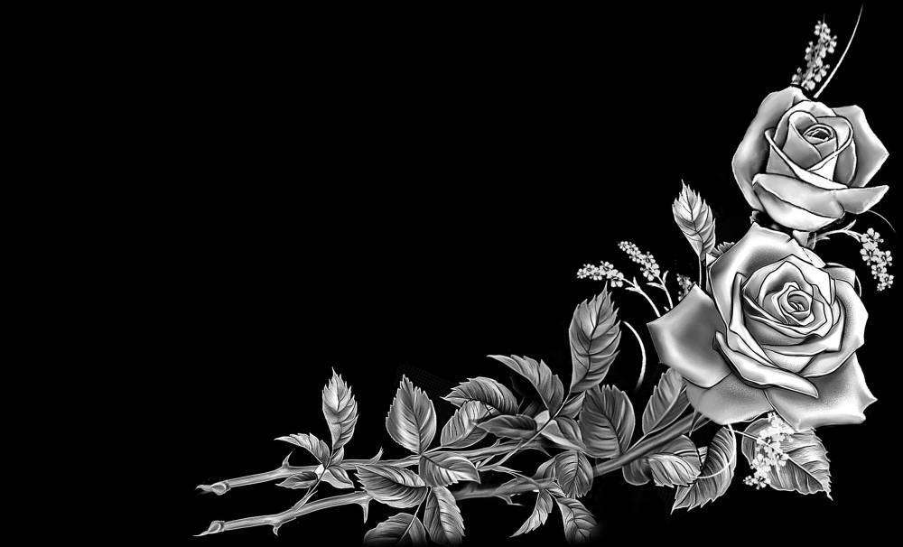 РОЗЫ НА УГОЛ.jpg