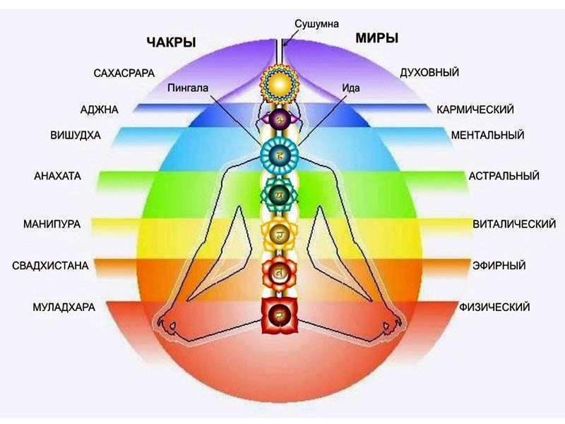 izobrazhenie-sootvetstvuyushhee-opredelennoy-chakre.thumb.jpg.32091370a269066f2e046da141139d64.jpg