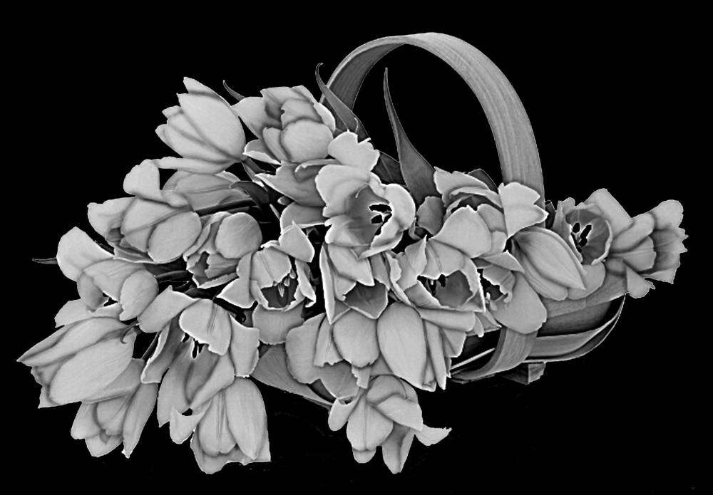 Без имени-4.jpg