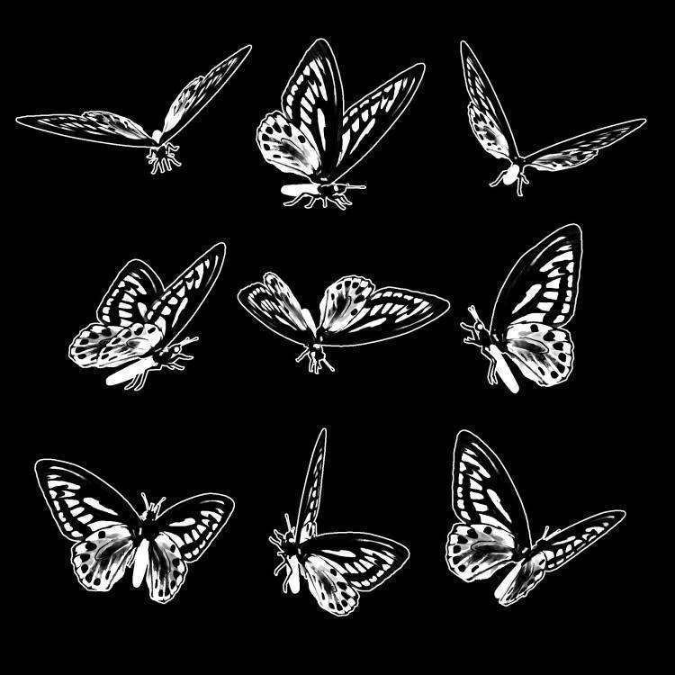 БАБОЧКА 40.jpg