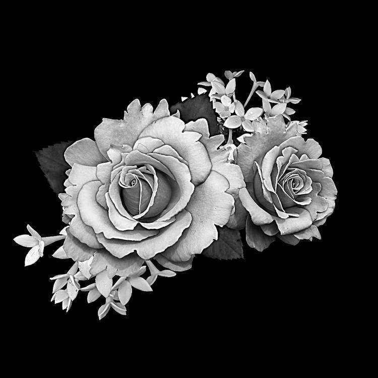 Без имени-4.jpg