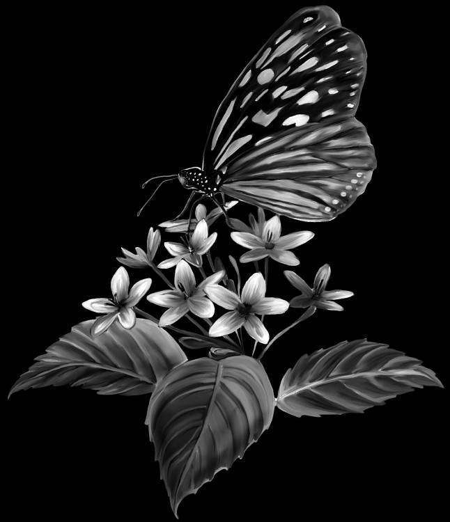 БАБОЧКА 1.jpg