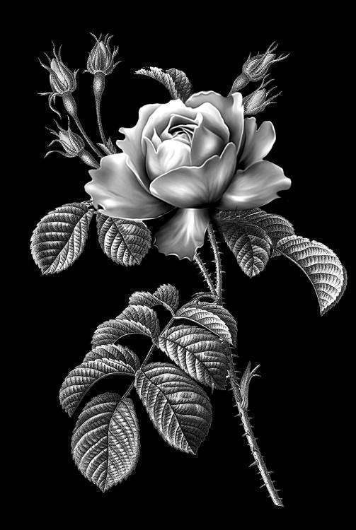 Без имени-6.jpg