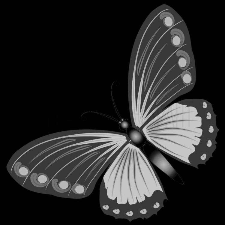 БАБОЧКА 10.jpg