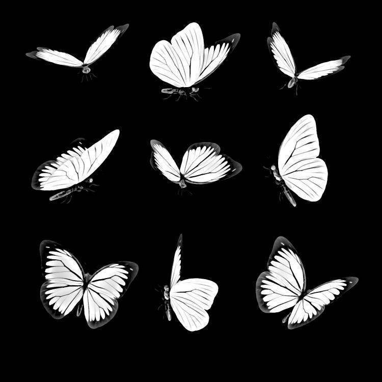 БАБОЧКА 41.jpg