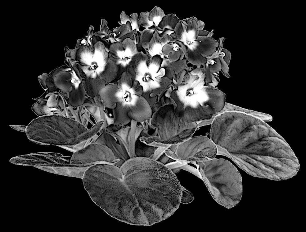 Без имени-2.jpg