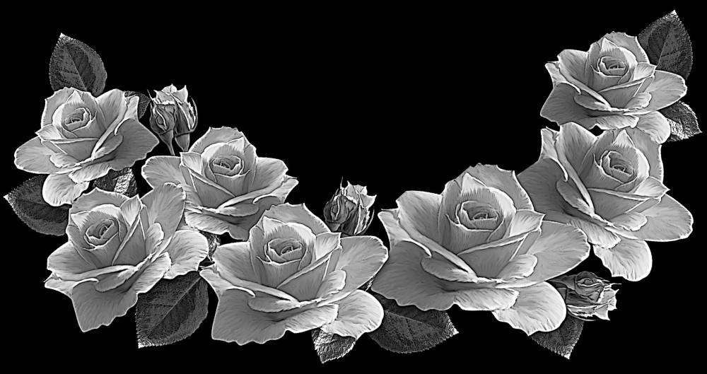 картинка 56.jpg