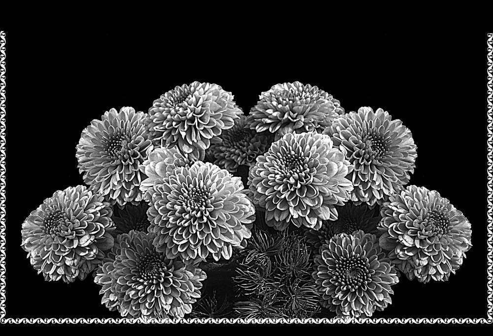 Без имени-6.jpg