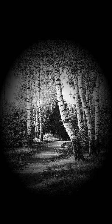 Без имени-4.jpg