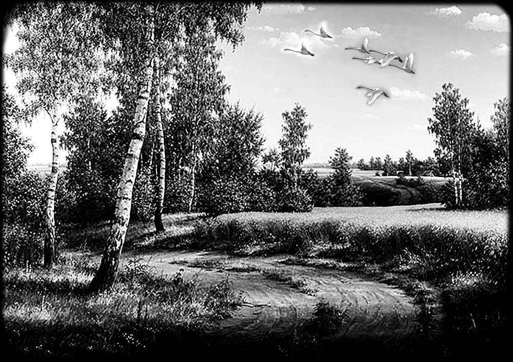 природа 2.jpg