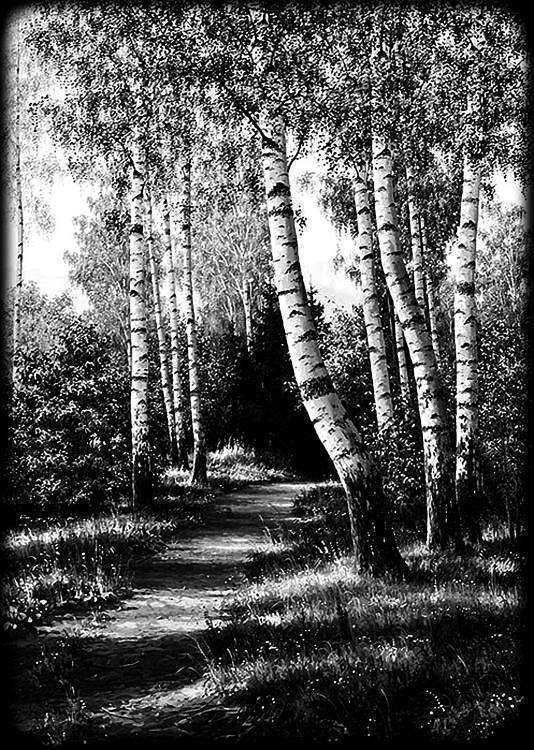 природа 11.jpg