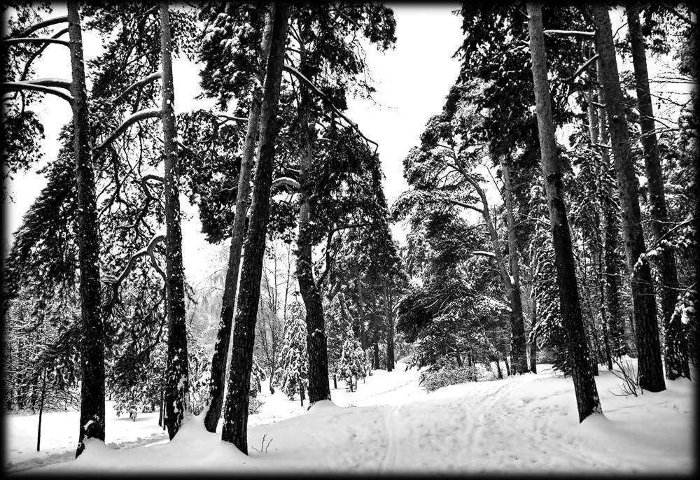 природа 14.jpg