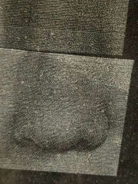 20200729_144249.jpg