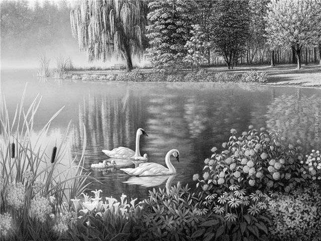 природа 8.jpg