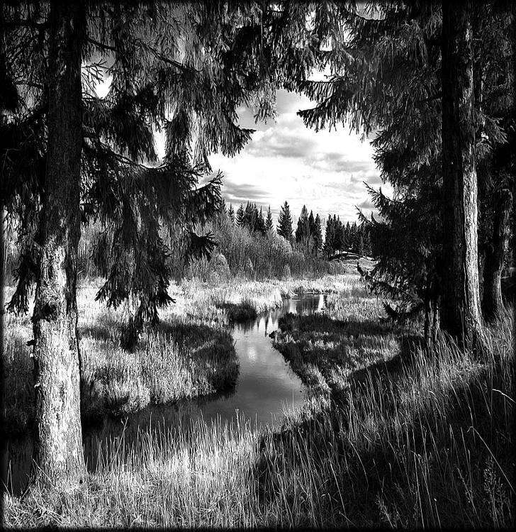 природа 13.jpg