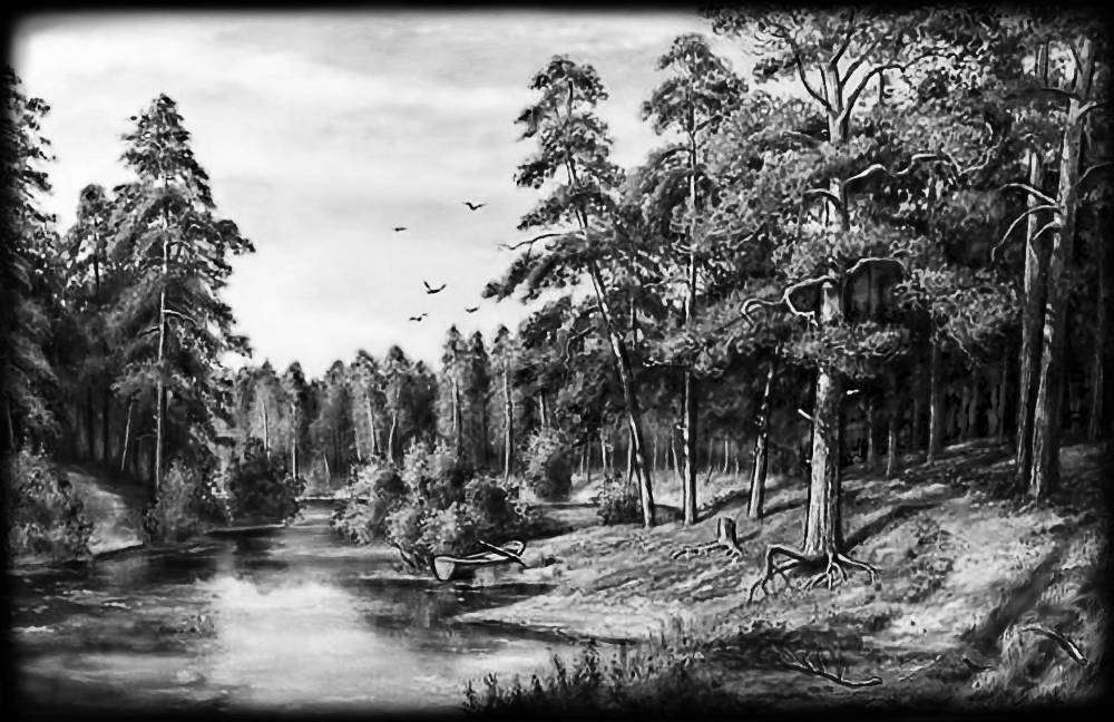 природа 1.jpg