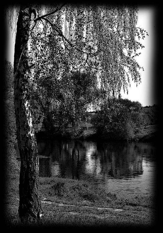 природа 7.jpg