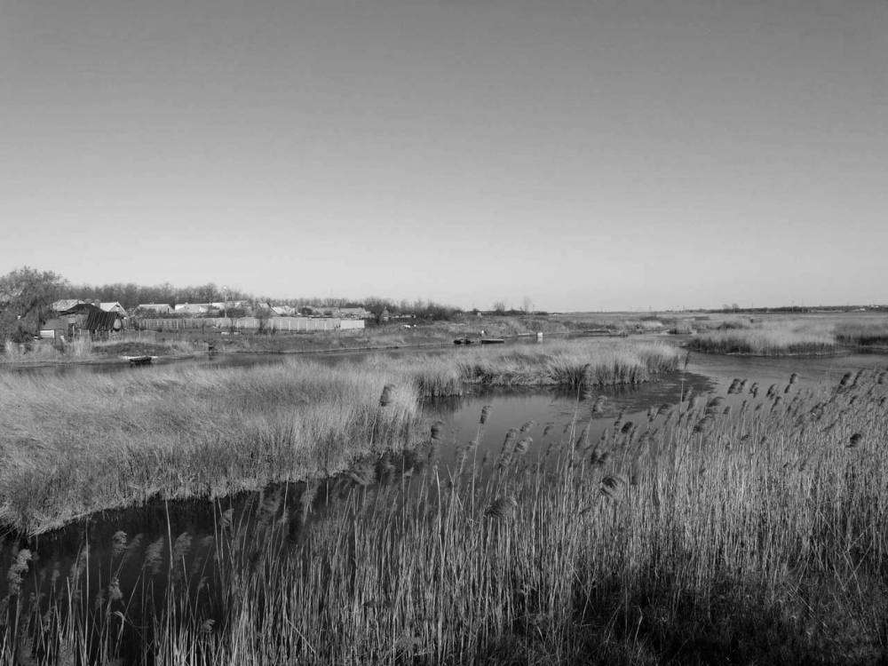 природа 3.jpg