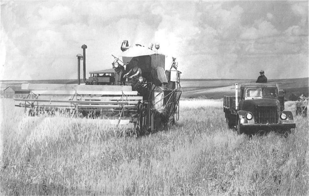 целиннки фото.jpg