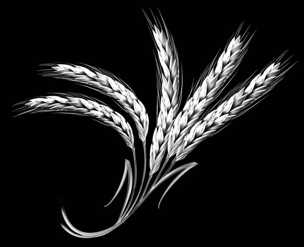 Без имени-2.jpg