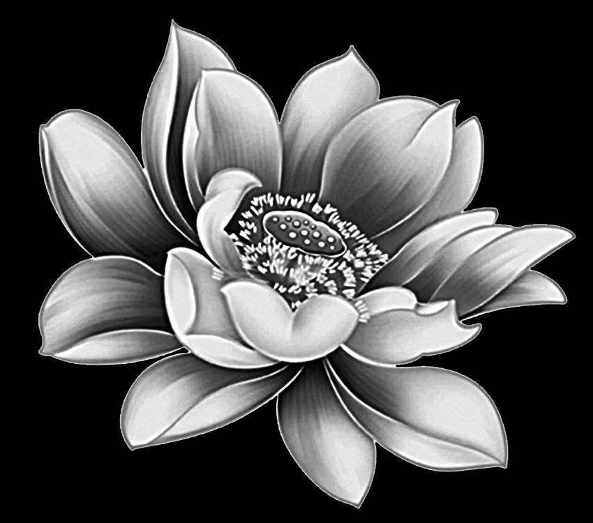 Без имени-4.jpg