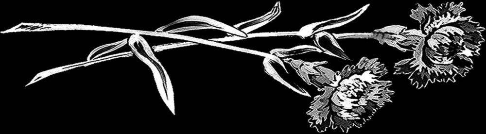 гвоздики копия.jpg