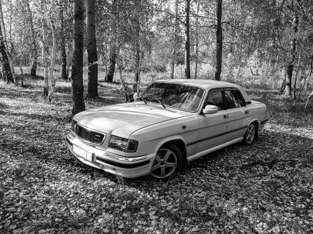 волга - 3110.jpg