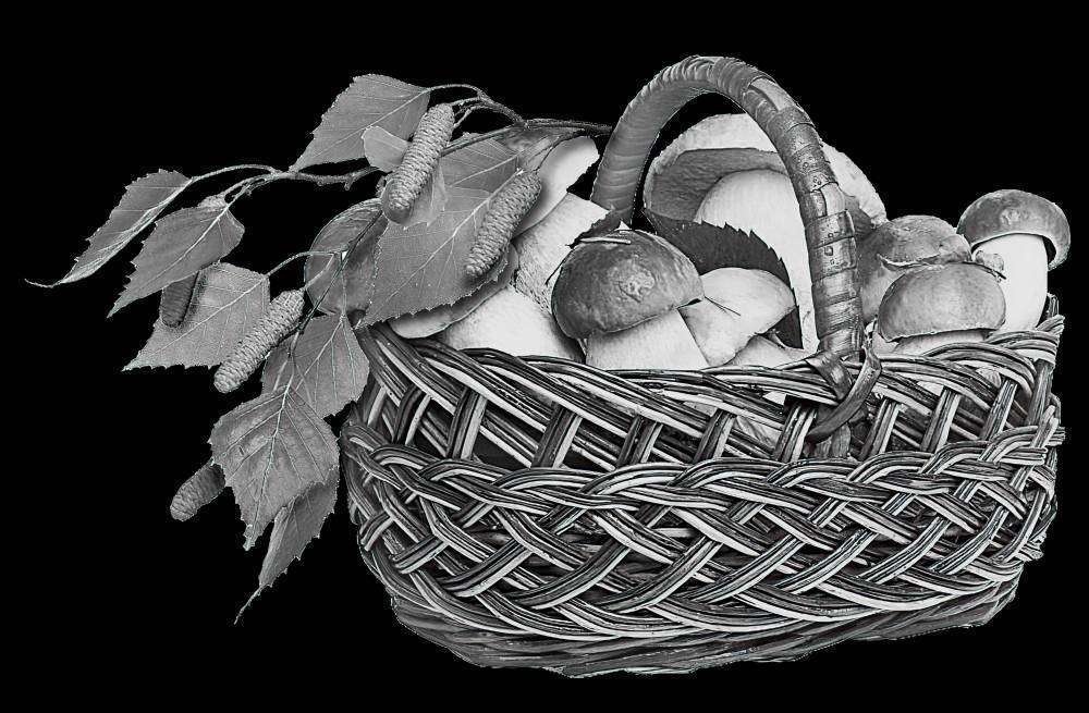 корзинка_с_грибами.jpg