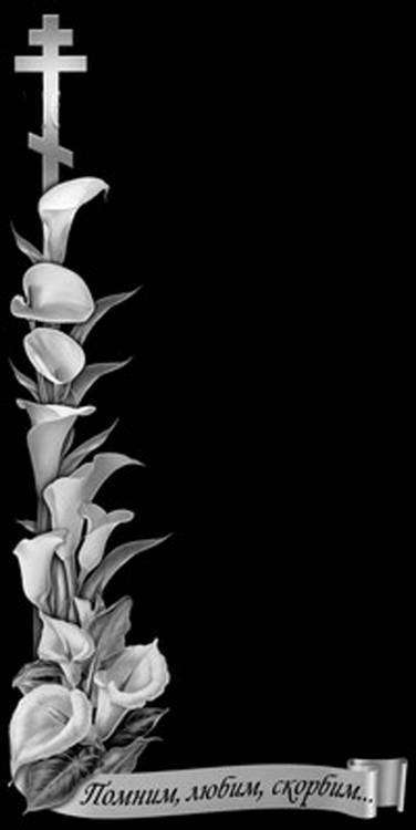 калы искать.jpg