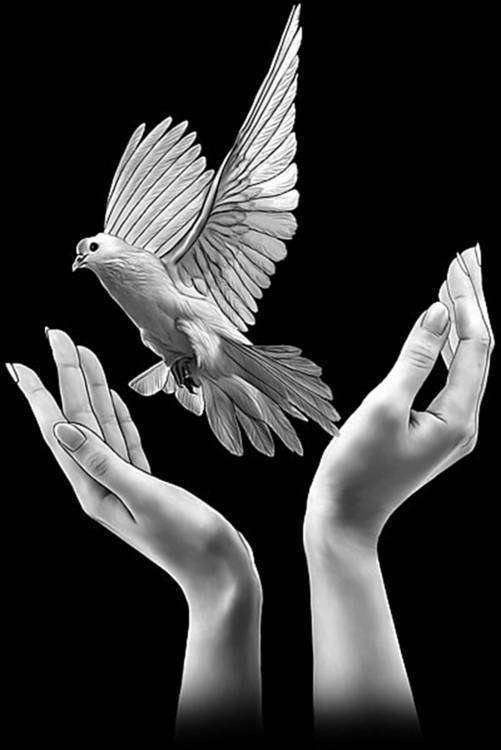 руки и голубь.jpg