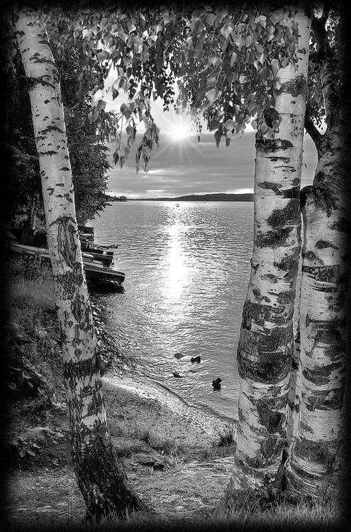 Без имени-12.jpg