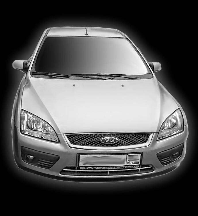 форд фокус 2.jpg