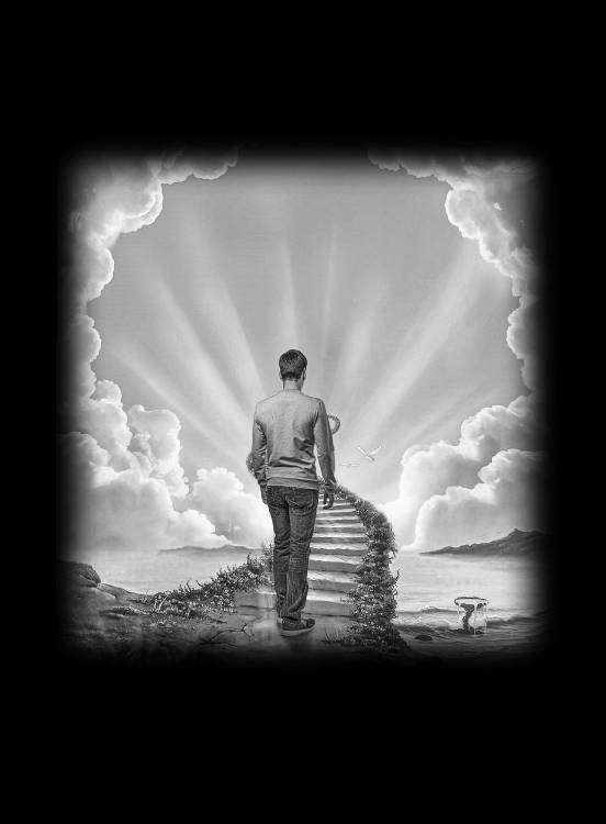 Задняя сторона лестница.jpg