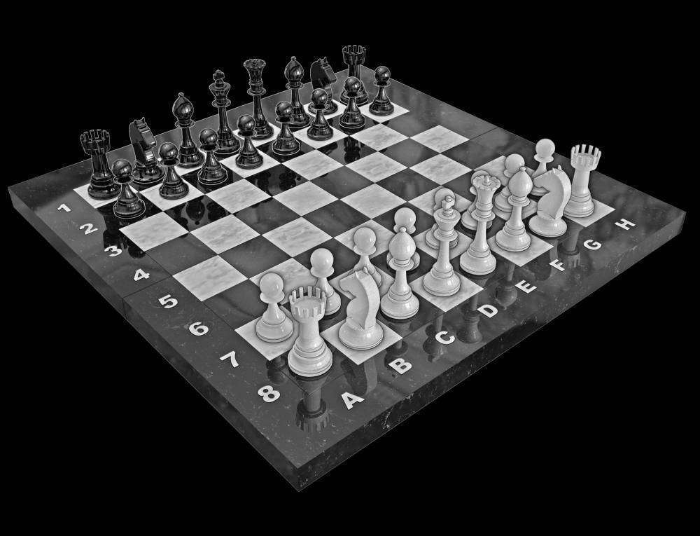 шахматы.jpg