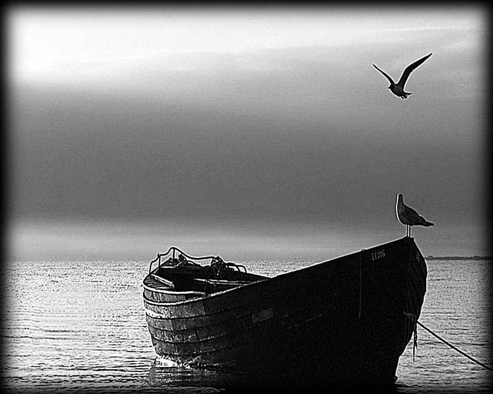 лодка птицы копия 2.jpg
