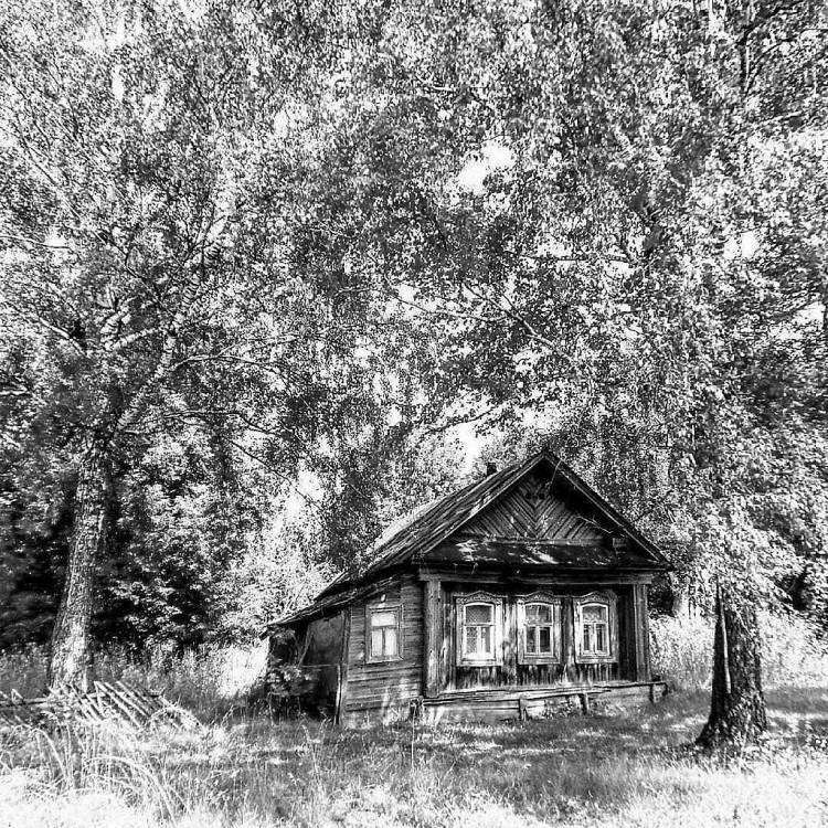избушка береза 2.JPG