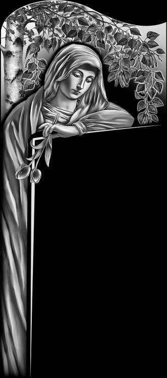 Скорбящая берёза 120.jpg