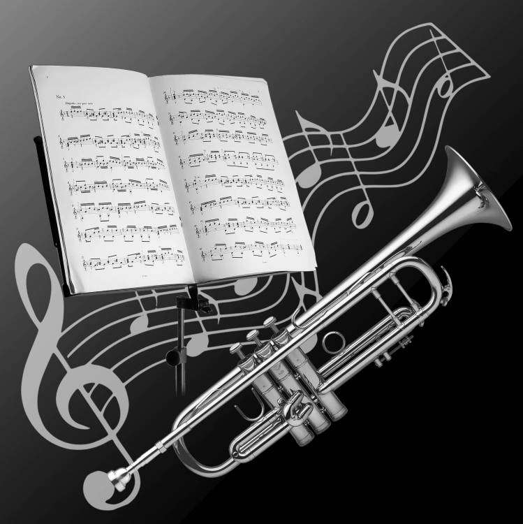 Труба муз.jpg