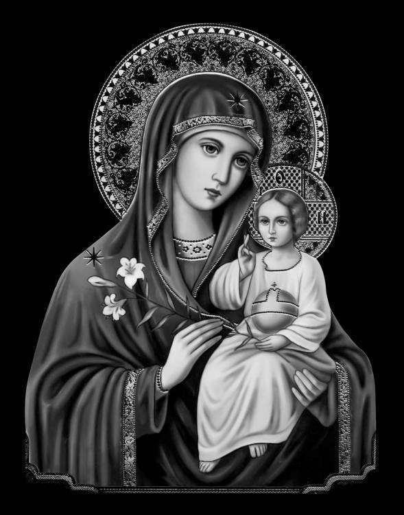 Неувядаемый Цвет.jpg