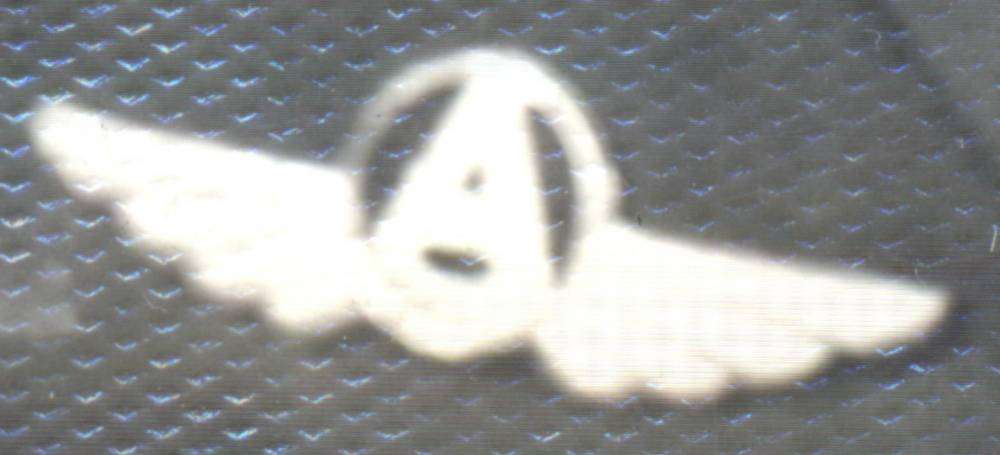 Анищенко 1.jpg