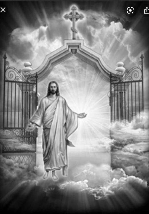 WhatsApp Image 2021-06-12 at 14.18.15.jpeg