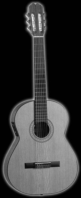 Гитара (1) копия.jpg