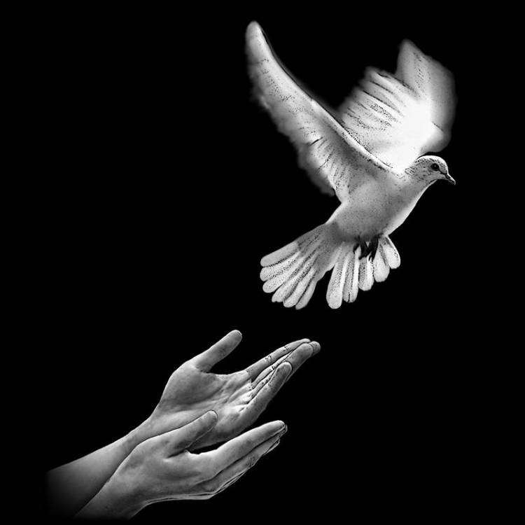thumbs.Голубь с руками 1С.jpg
