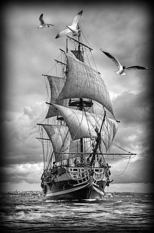 59b1a0275d33c_.jpg.bcde79b0cdf10d55d9305c93a8c6346c (1).jpg