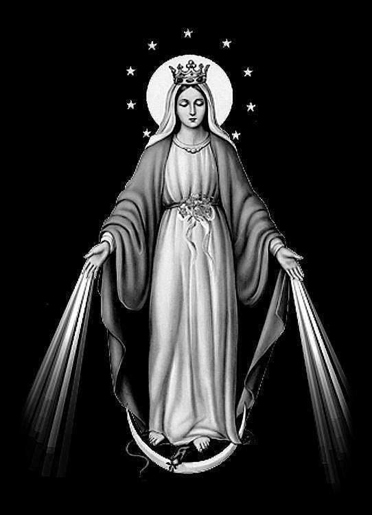 Без имени-6.jpg