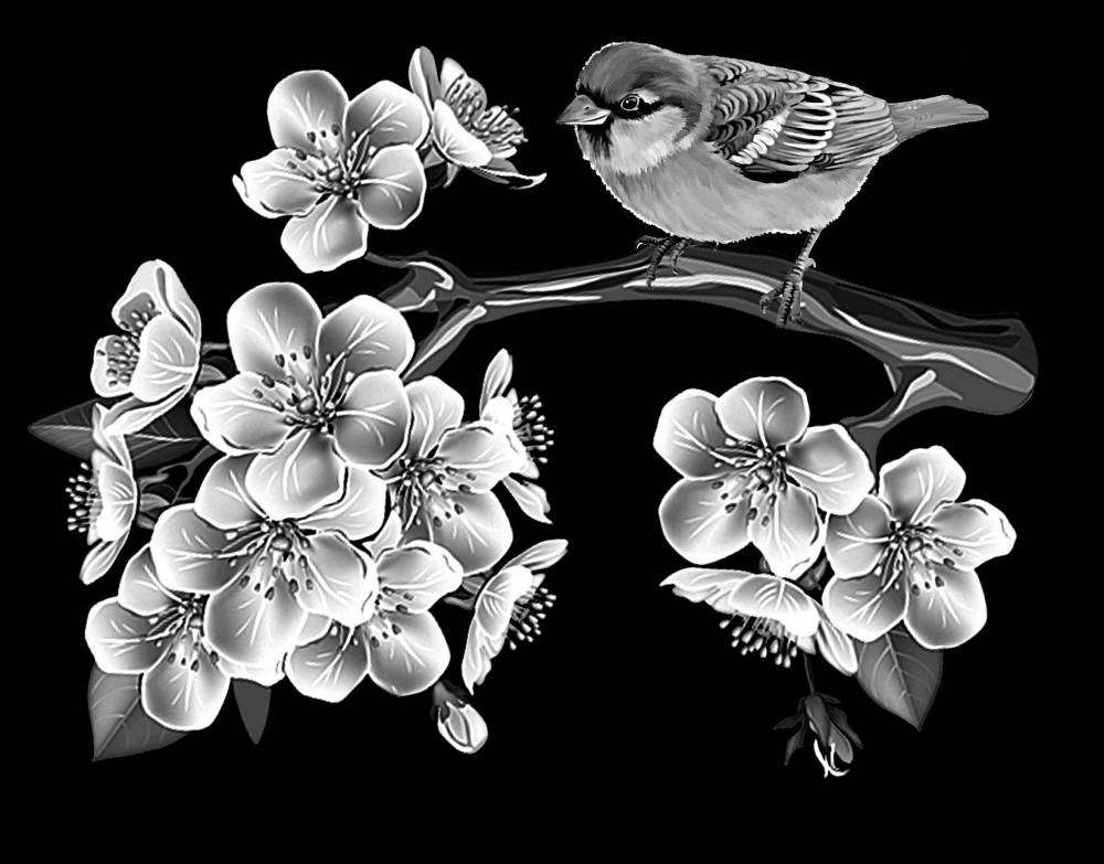 ВЕТКА ЯБЛ..jpg