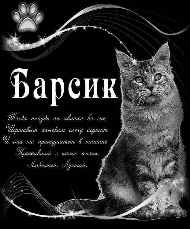 Без имени-12.jpg