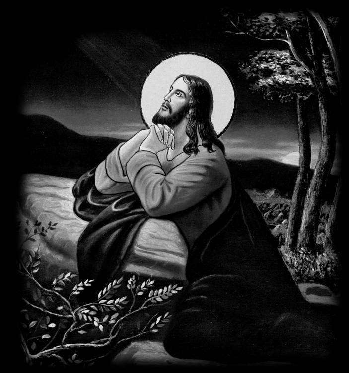 Без имени-4.jpg