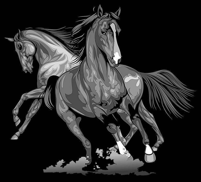 Без имени-12.jpg