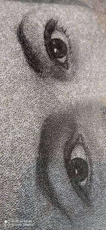 IMG_20211006_124958.thumb.jpg.3db6c7d578fd9810801e998503bf6d2d.jpg